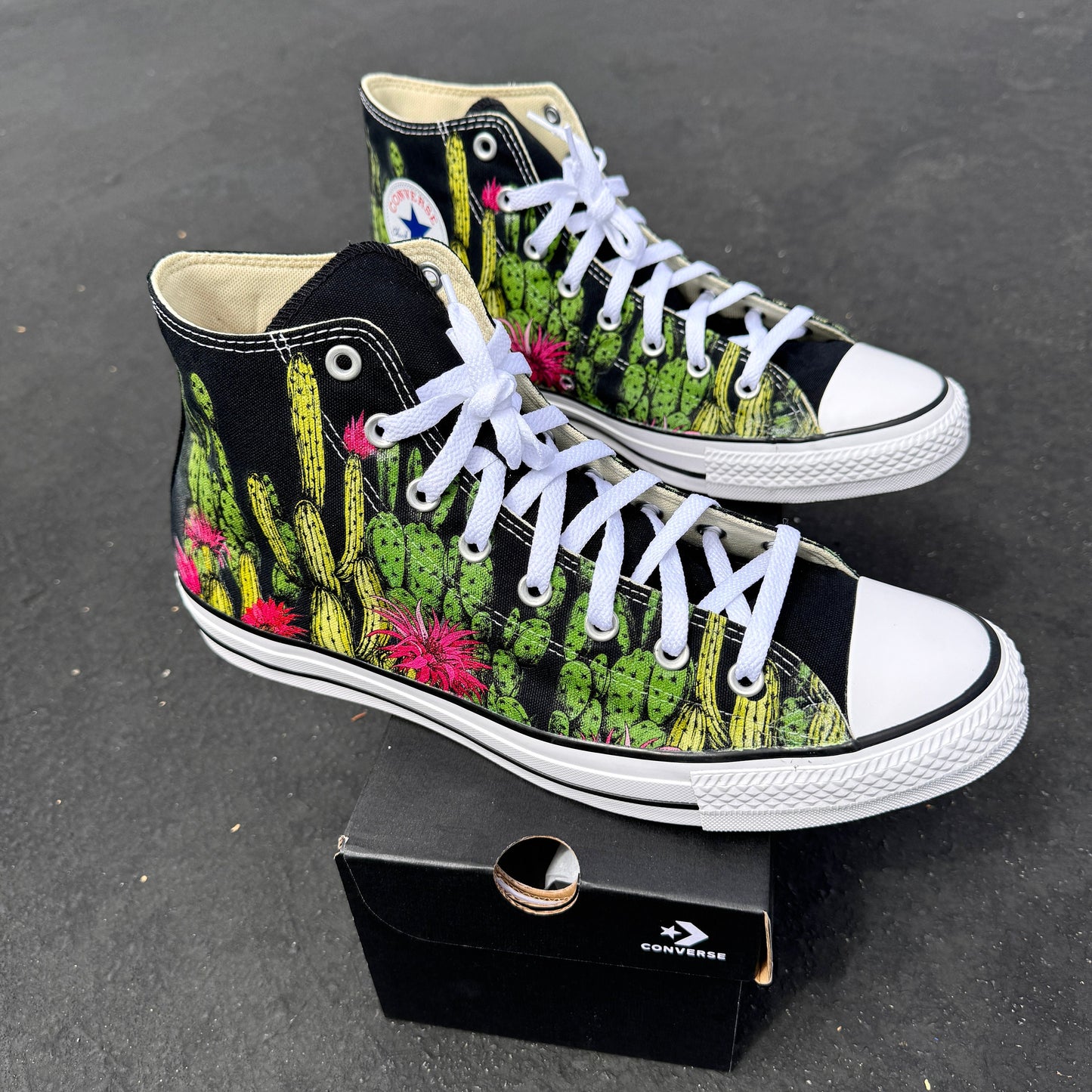 Cactus Garden Embroidered Converse | Custom Succulent Desert Flower High Tops